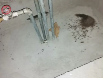 昌图卫生间测漏水价格明细