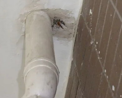 昌图漏水检测哪家好